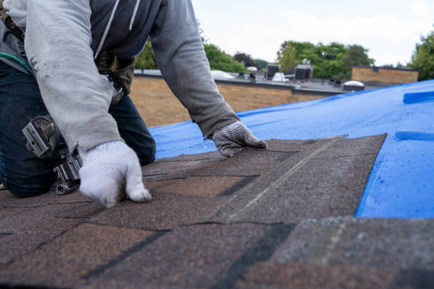 Best Roof Gutter Cleaning  in Pecos, TX